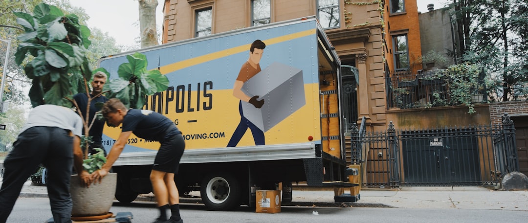 HeroMove moving team